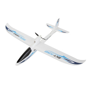 Avion radiocommandé WLtoys F959S SKY-King 2.4G 3CH 6-Gyroscope, planeur prêt à voler