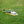 FLYWING  UH-60L Firehawk 470L-Scale RC Helicopter RTF – ACE Flight Controller, GPS Hold, 18-Min Flight Time, Scale Detail